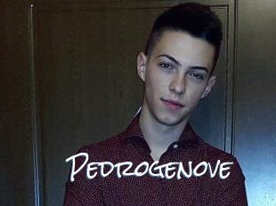 Pedrogenove