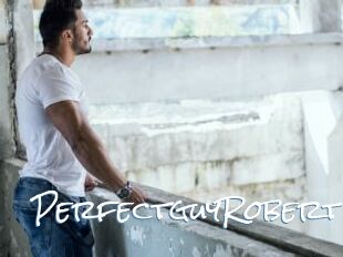 PerfectguyRobert