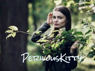 Perilous_Kitty