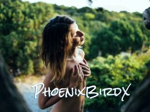 PhoenixBirdX