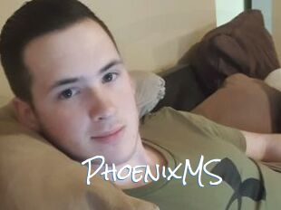 PhoenixMS