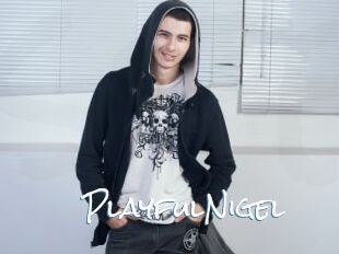PlayfulNigel