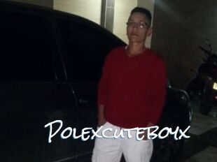 Polexcuteboyx