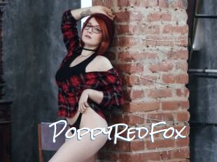 PoppyRedFox