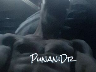 PunaniDr