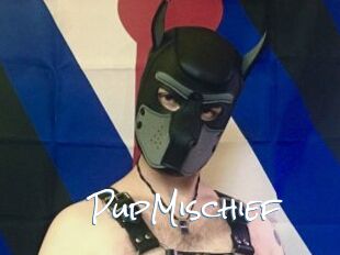 PupMischief