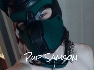 Pup_Samson