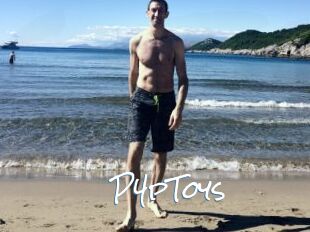 P4pToys