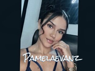 pamelaevanz Sex Feed