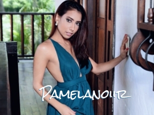 Pamelanoiir
