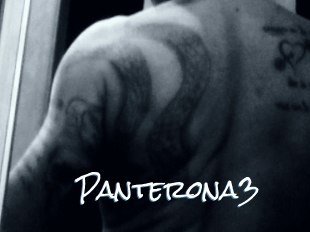 Panterona3