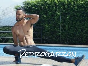 Pedrogarzon