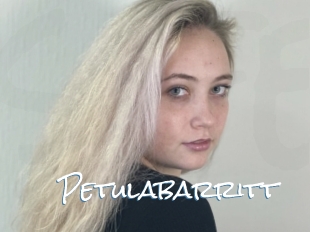 Petulabarritt