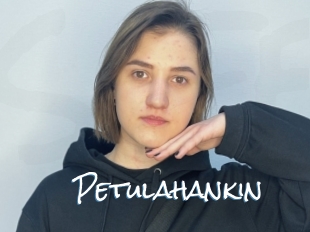 Petulahankin