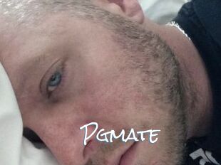 Pgmate