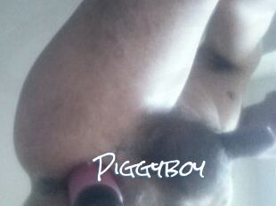 Piggyboy
