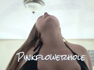 Pinkflowerhole