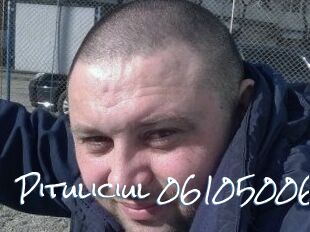 Pituliciul-06105006
