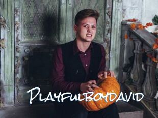 Playfulboydavid