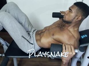 Playsnake