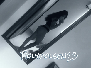 Polypolsen23