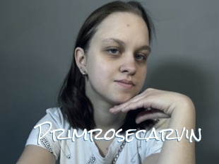 Primrosecarvin