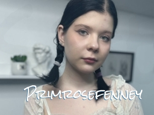 Primrosefenney