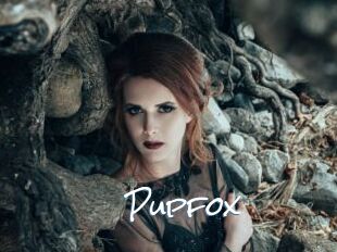 Pupfox