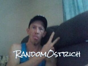 RandomOstrich