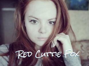 Red_Cuttie_Fox