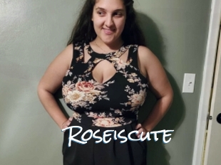 Roseiscute