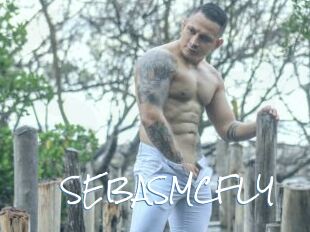 SEBASMCFLY