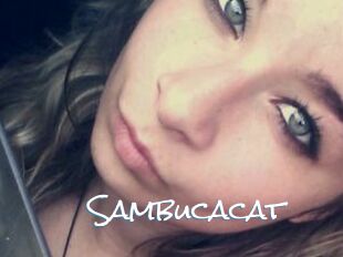Sambucacat