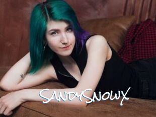 SandySnowX