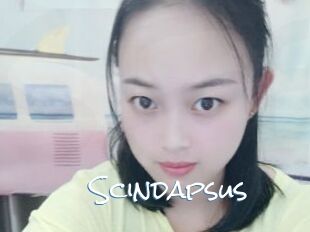 Scindapsus