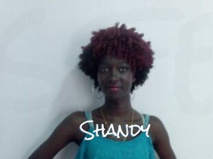 Shandy