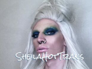 SheilaHotTrans