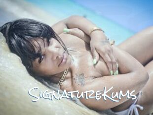 SignatureKums