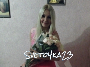 Sveto4ka23