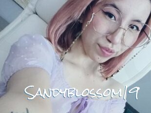 Sandyblossom19