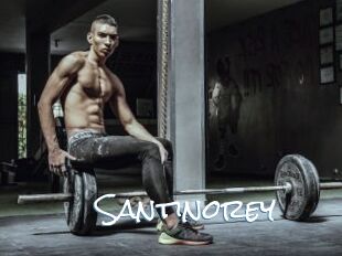 Santinorey
