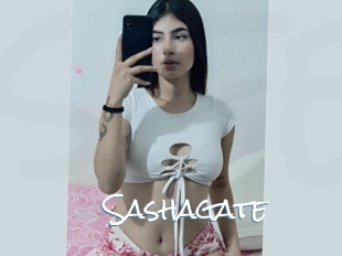 Sashagate
