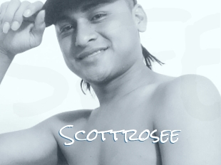 Scottrosee