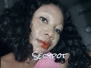 Secypot