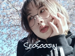 Seosoojin