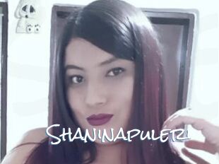 Shaninapuleri