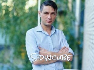 Sid_incube