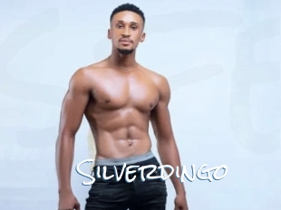 Silverdingo