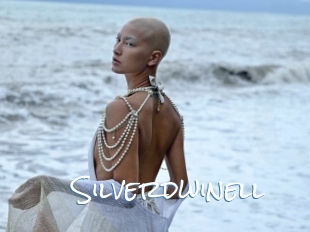 Silverdwinell