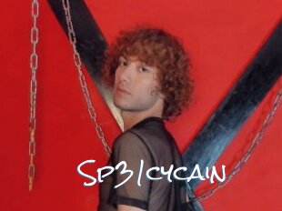 Sp31cycain